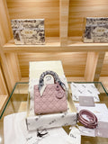Bag-Dior-25
