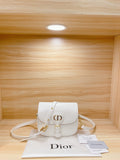 Bag-Dior-55