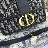 Bag-Dior-50