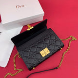 Bag-Dior-37