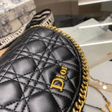 Bag-Dior-38