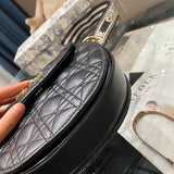 Bag-Dior-39