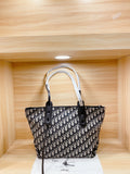 Bag-Dior-41