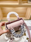 Bag-Dior-25