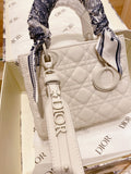 Bag-Dior-26