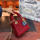 Bag-Dior-13