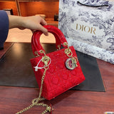 Bag-Dior-13