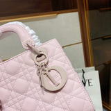 Bag-Dior-19