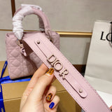 Bag-Dior-19