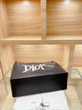 Bag-Dior-11