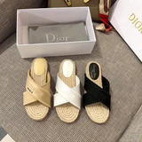 DIOR Slides-2