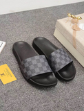 LV Slides-4