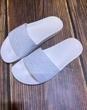 LV Slides-4