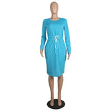 Phoenix 2020 Foreign Trade Autumn/winter classic simple solid-color long sleeve dresses