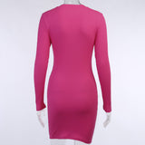 spring new high quality print turtleneck bodycon midi dress woman 2021 casual high street pleated slim zipper dress