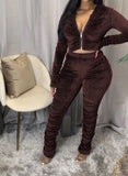 X00899S Phoenix 2021 Autumn Two-piece suit with Pleated solid-color zipper two-piece set thickened