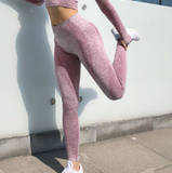 X00407L Phoenix Hot style women sexy two-piece sets+Tight running training speed dry sports suit to slim the body