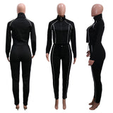 X00677M Phoenix wholesale sport suit two pieces Casual zipper collar slim fitting trousers two-piece set