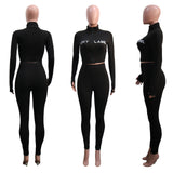 X00679M Phoenix wholesale sport suit two pieces High-collar thread embroidered letter zipper sport two-piece set