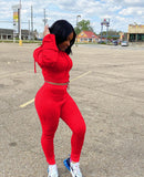 Hoodie fabric sportswear suit